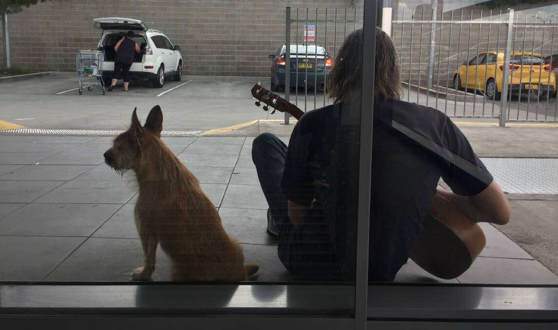 SNAPSHOT: A busker, playing some great tunes, and his best friend were spotted outside of Aldi the other day. Photo: PHIL BLATCH