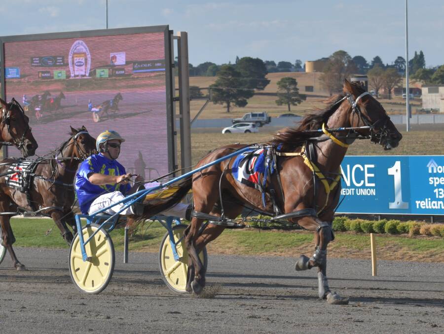 WINNER: Anthony Frisby drives Alpha Styx to victory in the Town & Country Rural Supplies Race, at the Bathurst Paceway on Friday. Photo: BRADLEY JURD