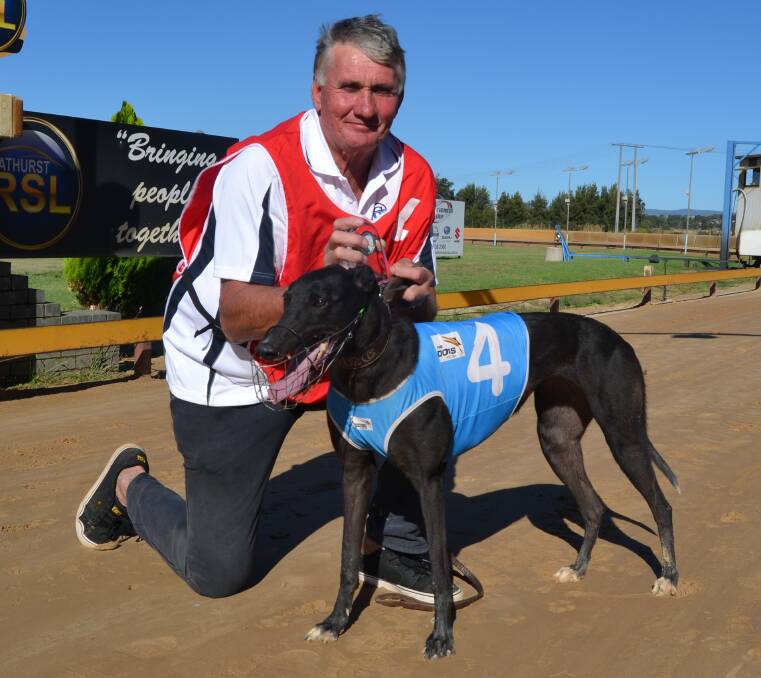 COMFORTABLE: Yass trainer Neil Staines and One Cold Foot, who won the Bill Kennerson Memorial Final on Monday afternoon at Kennerson Park. Photo: BRADLEY JURD 021317dogs2