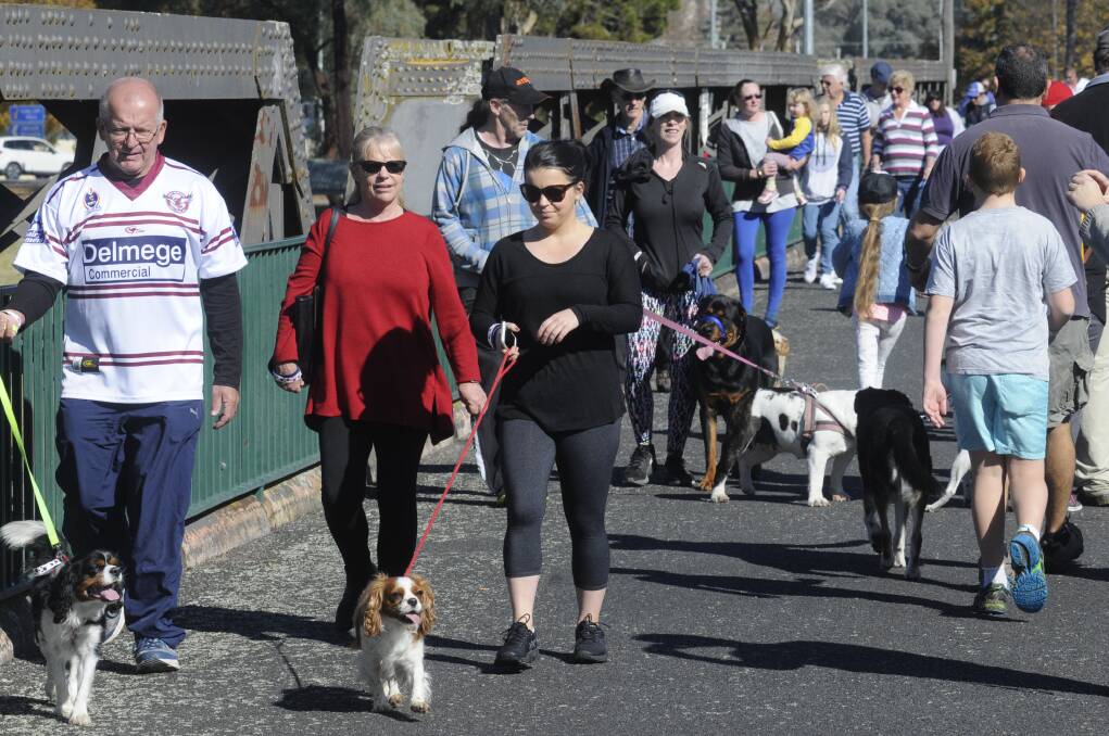 WALK: Gary, Helen and Paige Wilson with Freddy and Levi (Cavalier King Charles Spaniels) at the Million Paws Walk. Photo: CHRIS SEABROOK 