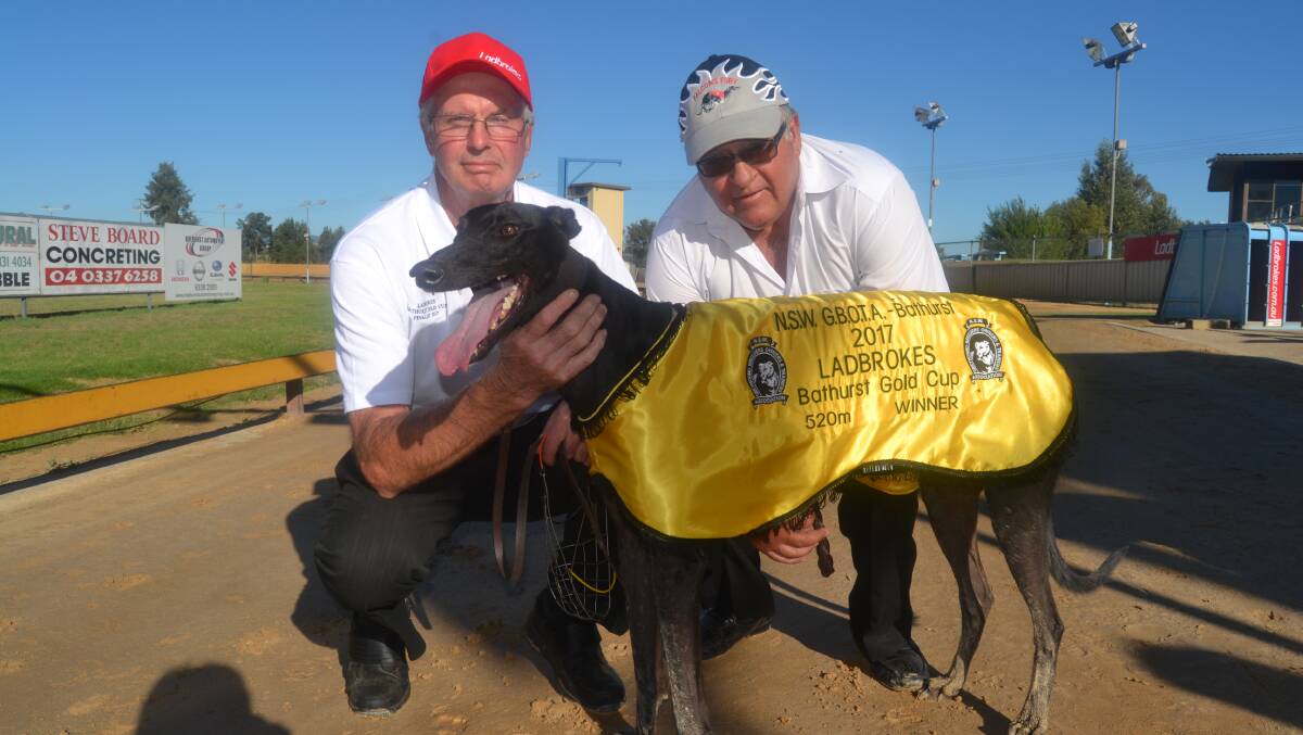 BACK AGAIN: Last year's Bathurst Cup winner Falcon's Fury with trainer and owner Paul Braddon and David Worthy. Photo: BRADLEY JURD 021317dogs1