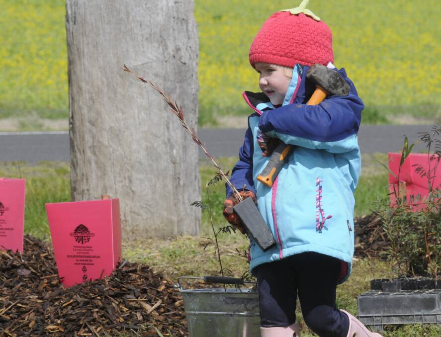 HELPING HAND: Sophie Wotton at Apex Jubilee Park on the Ophir Road. Photos: CHRIS SEABROOK 090416ctrees4