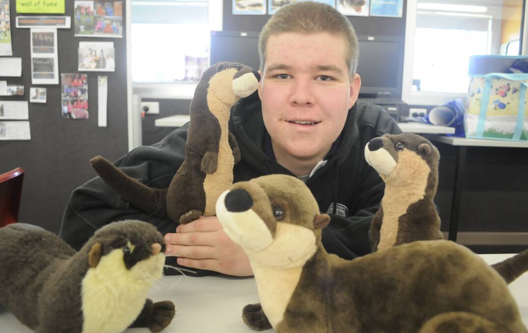 AWARENESS: Budjarn Lambeth has been promoting World Otter Day, which raises awareness for otters, at Kelso High Campus for the past few weeks. World Otter Day is on May 31. Photo: CHRIS SEABROOK 050117cotters