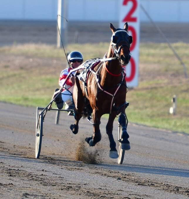 FROM THE SECOND ROW: Nathan Hurst will drive Itsallaboutlu (both pictured) at the Bathurst Paceway on Wednesday night. Photo: ALEXANDER GRANT