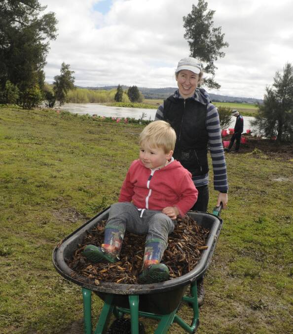 GETTING A LIFT: Tom Callan enjoyed a ride in the wheelbarrow from Julie Lucato. 090416ctrees1