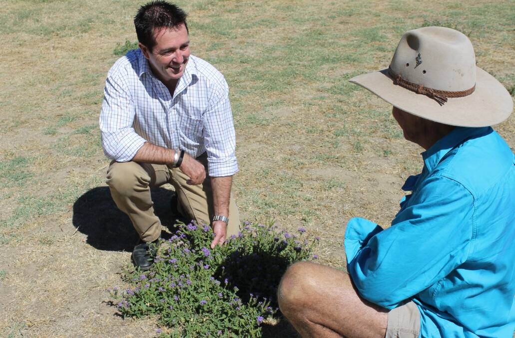 HAVE YOUR SAY: With local weeds in full bloom, now is the time to have your say on weeds management in the electorate, according to Member for Bathurst Paul Toole.