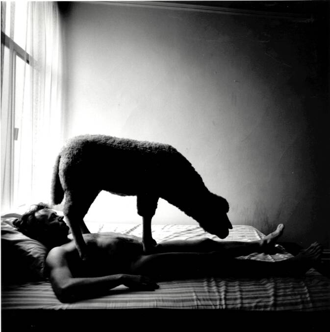 Unusual Dreaming: Tress, Arthur Bob Leet with Sheep, S.F. 1974. Photograph of a nude male figure in profile, laying on a bed with a toy plush sheep atop his chest. From artist series called Dream Collectors. Unflinching Gaze exhibition will be at Bathurst Regional Art Gallery until December 3, 2017.