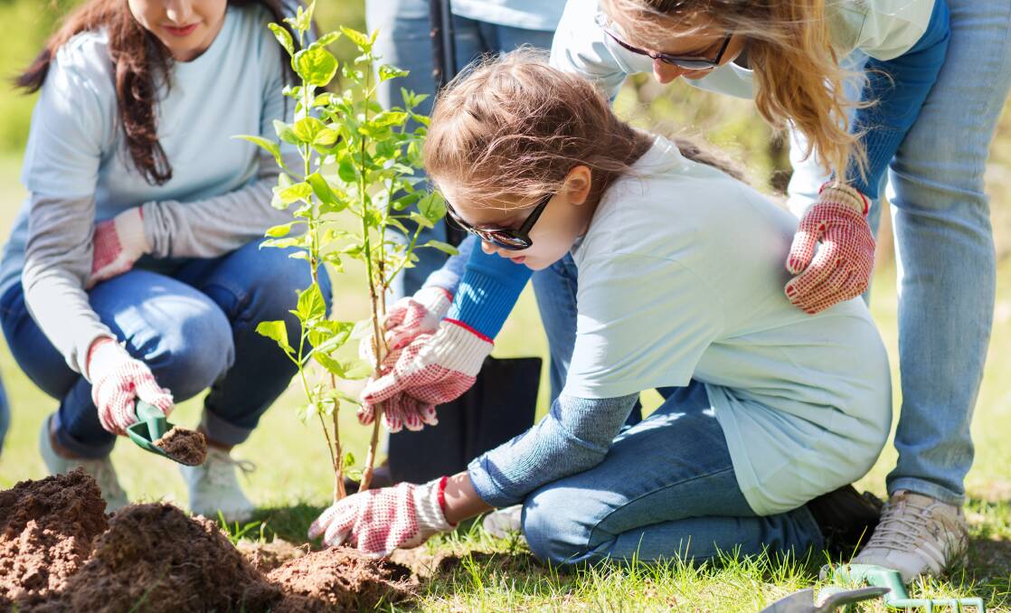 BIG THINGS GROW: Tree Planting Day will be held at the Blayney Road Common on Saturday. Come along any time from 9am to 12.30pm to plant trees, shrubs and grasses. Please wear suitable shoes and clothing. For more information, visit www.bathurst.nsw.gov.au/treeplanting