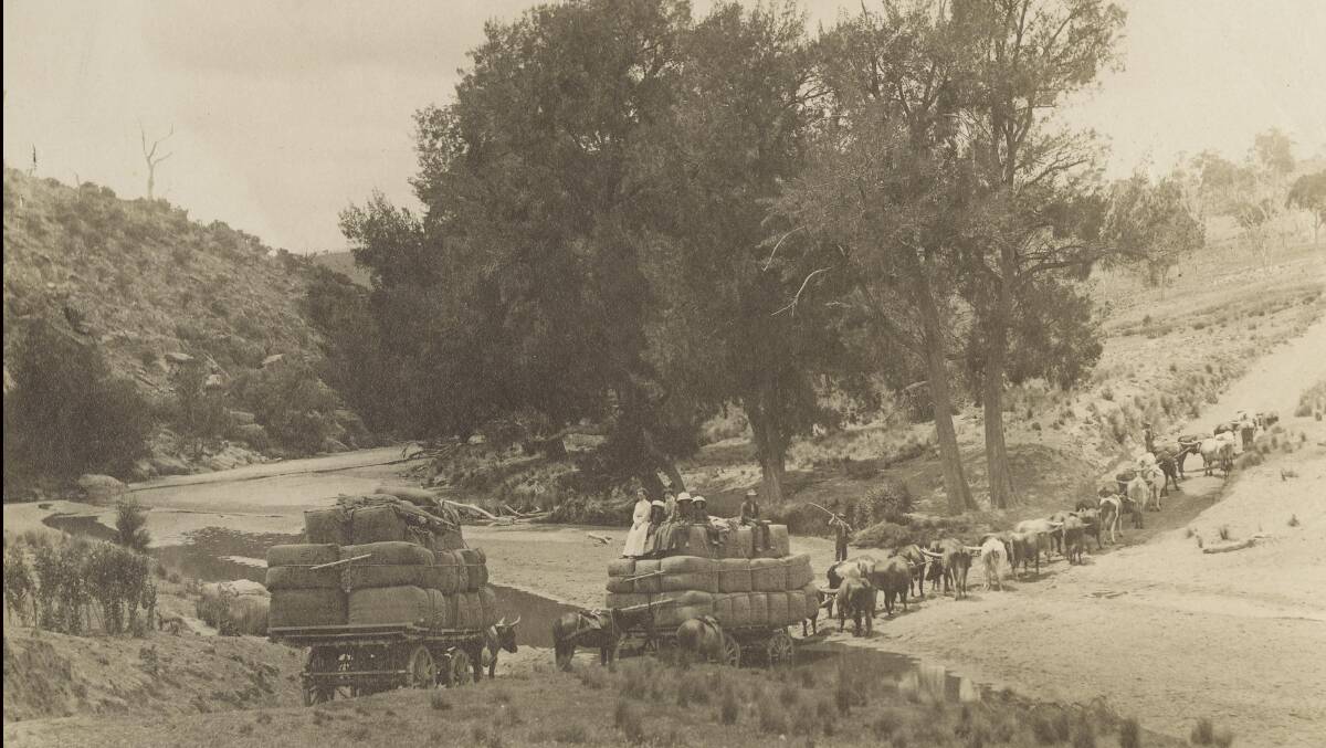 TO MARKET: Two wagonloads of wool being taken into Bathurst from Freemantle Station.  A group of young ladies are on top of the bales of wool.