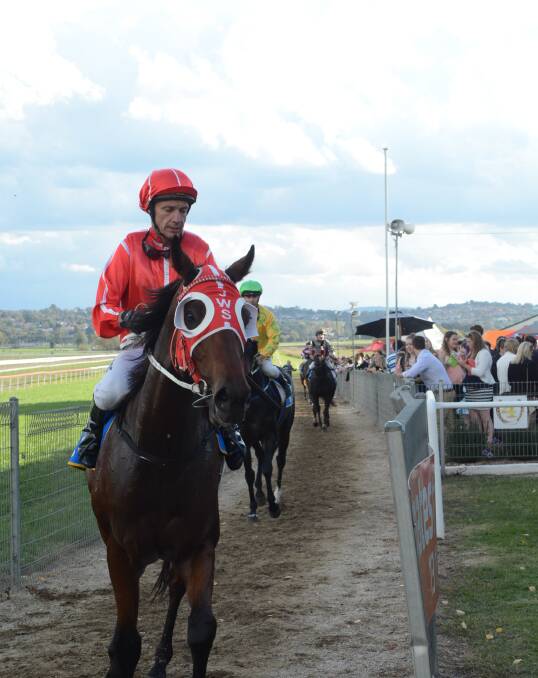Riding Well: Winner of saddle Greg Ryan in 2015. Another Greg Ryan classic ride in the Collie Hotel-Collie Cup on Spirited Addition.