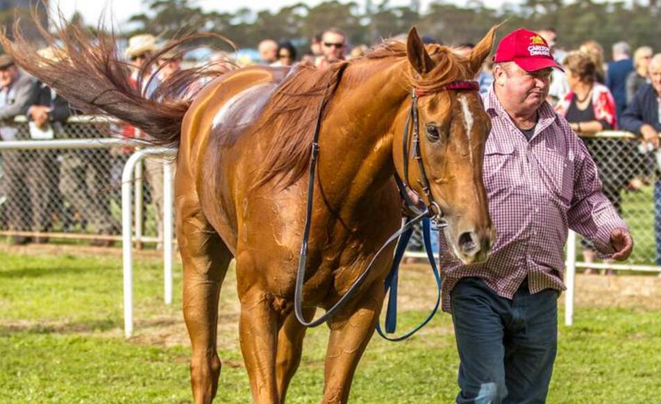 Wright win: Parkes’ George Wright successful trainer wins the NSW Picnic Trainers Premiership with the 2015/2016 season. Photo: Courtesy of www.racingphotography.com.au