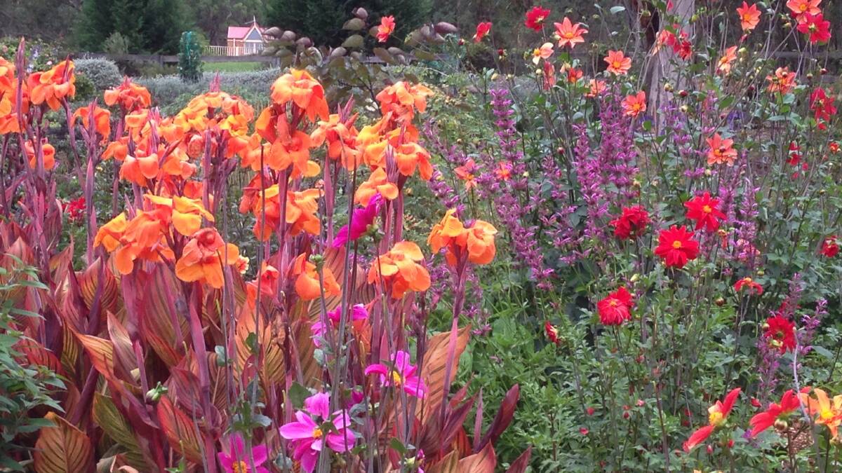 BEAUTIFUL: Wild Meadows Garden is open every second weekend spring to summer at 243a Coxs River Road, Little Hartley. For more information, email stephenvella70@gmail.com or ring 0439 070 670.