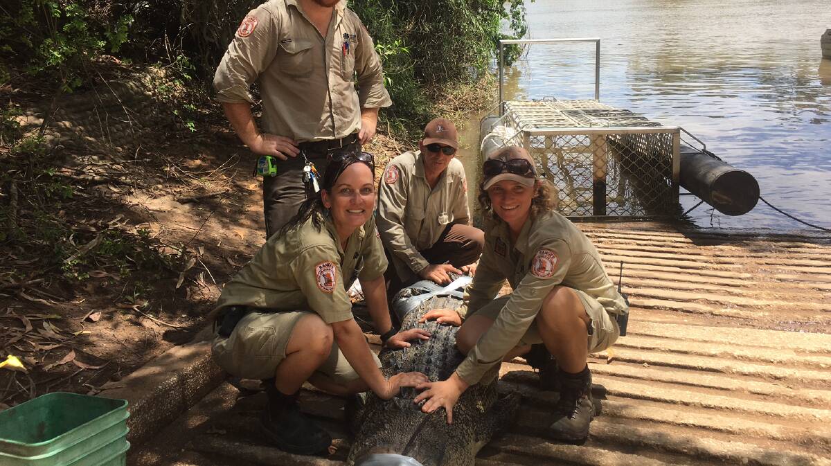 BIG ONE: A second big croc was caught in the Nitmiluk gorge last month. 