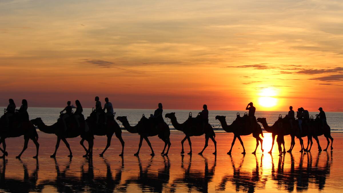 A camel train winds its way along Broome's famous Cable Beach.