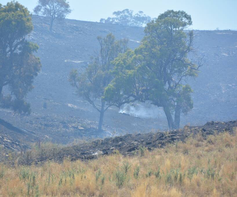 SUMMER DRAMA: Bushfires in the Central West have tested firefighters during the extremely hot weather. Photo: NICK GRIMM