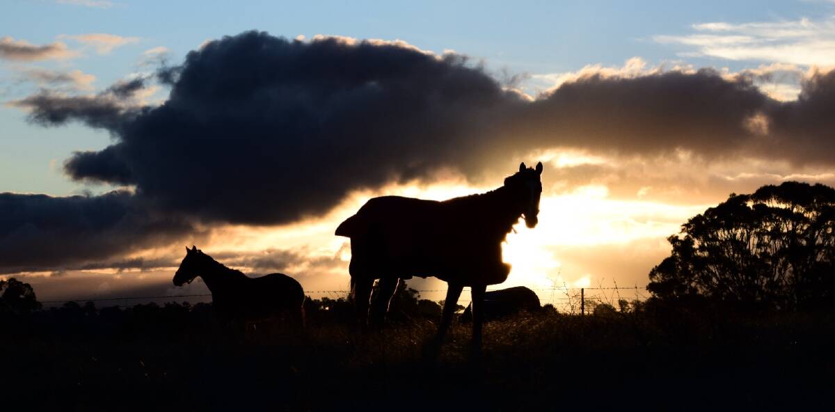 SNAPSHOT: Reader Megan Walton captured this sunset silhouette moment near Bathurst.