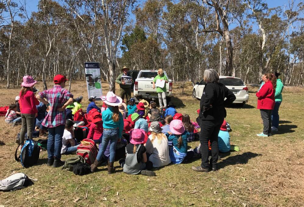 LEARNING EXPERIENCE: Students from Meadow Flat Public School had a field trip this week to learn more about the rare purple copper butterfly. ​​Photos: ALLAN WRAY
