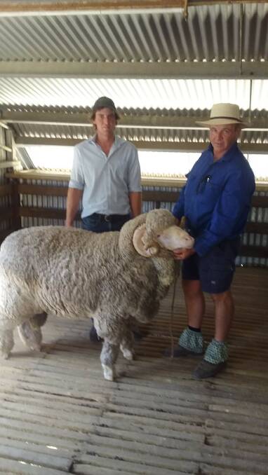 NOT GOING ANYWHERE: Hamish Wood with studmaster Guy Evans at “Tara Park”, Boorowa. This top stud sire was definitely not for sale.