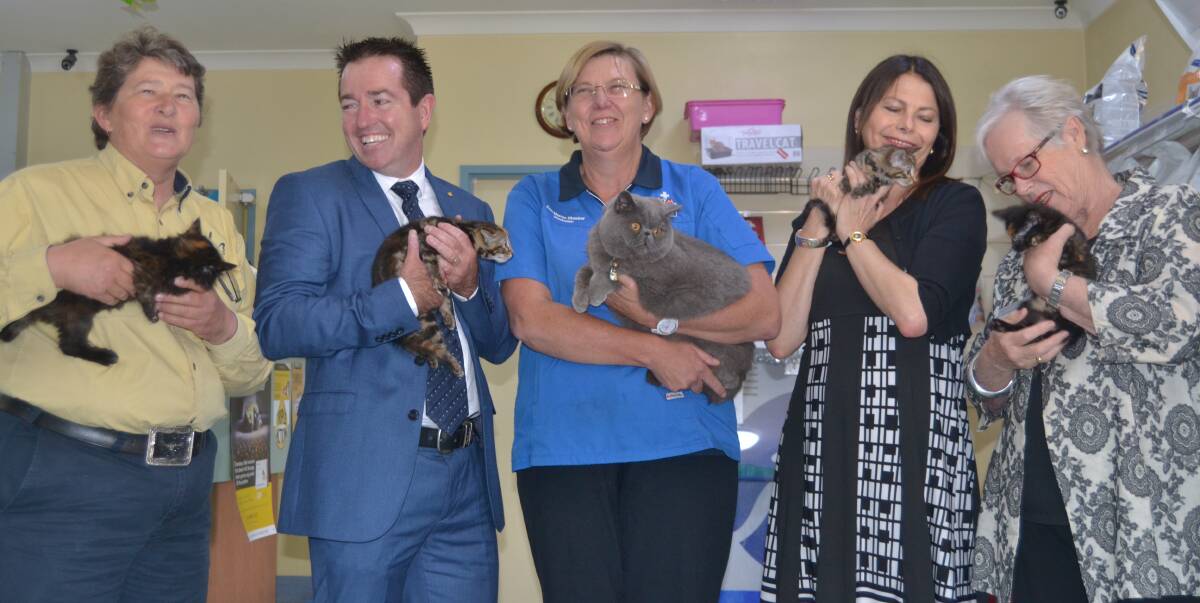 PAWS FOR EFFECT: Margy Gaal from the small animal pound, Local Government Minister Paul Toole, Dr Ann-Maree Shearer from Stewart Street Vets, Cat Protection Society CEO Kristina Vesk and Councillor Monica Morse. 120916cat2