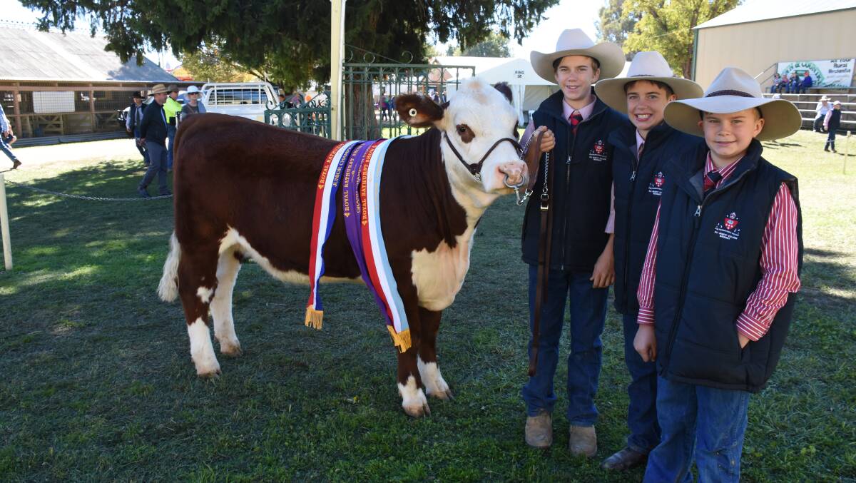 SIBLINGS: All Saints' College students Sam, 15, Angus, 13, and Charlie Rendall, 10, were some of the younger faces at this year's Royal Bathurst Show. The 150th show will be held in 2018. 042917nmshow17