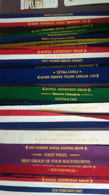 MEMORIES: A great display of winning ribbons from shows adorn a wall in Dr Ross Wilson’s waiting room at Ochre Health.