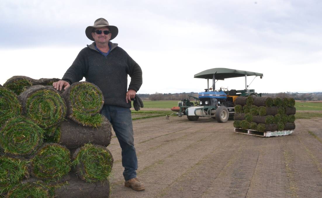 WET AND DRY: A wet winter last year put Dave Lew of Greenacres Turf Farm well behind in his operation, but the dry start to the season this year has been much less disruptive. Photo: MATT WATSON 062317turf