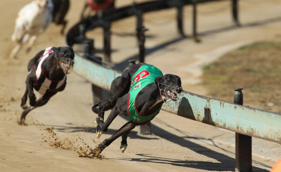 UNKNOWN: What will be the effect on Bathurst businesses when the greyhound racing industry shuts in NSW?