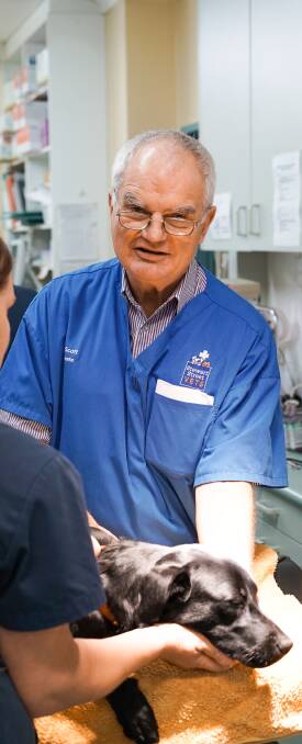 HANDS ON: Dr Nick Scott has retired from his role at Stewart Street Veterinary Hospital after a lifetime caring for animals.