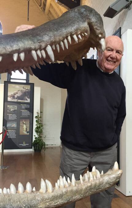 WHAT BIG TEETH: Australian Fossil and Mineral Museum volunteer David Powter with SuperCroc's jaws. Photo: MATT WATSON 072016jaws