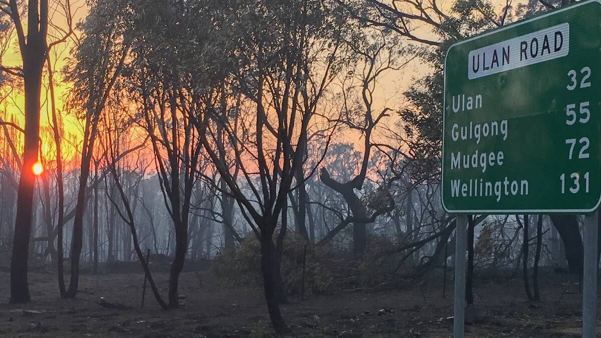 SIGN OF DESPAIR: A stark sight after fire raced past this road sign.