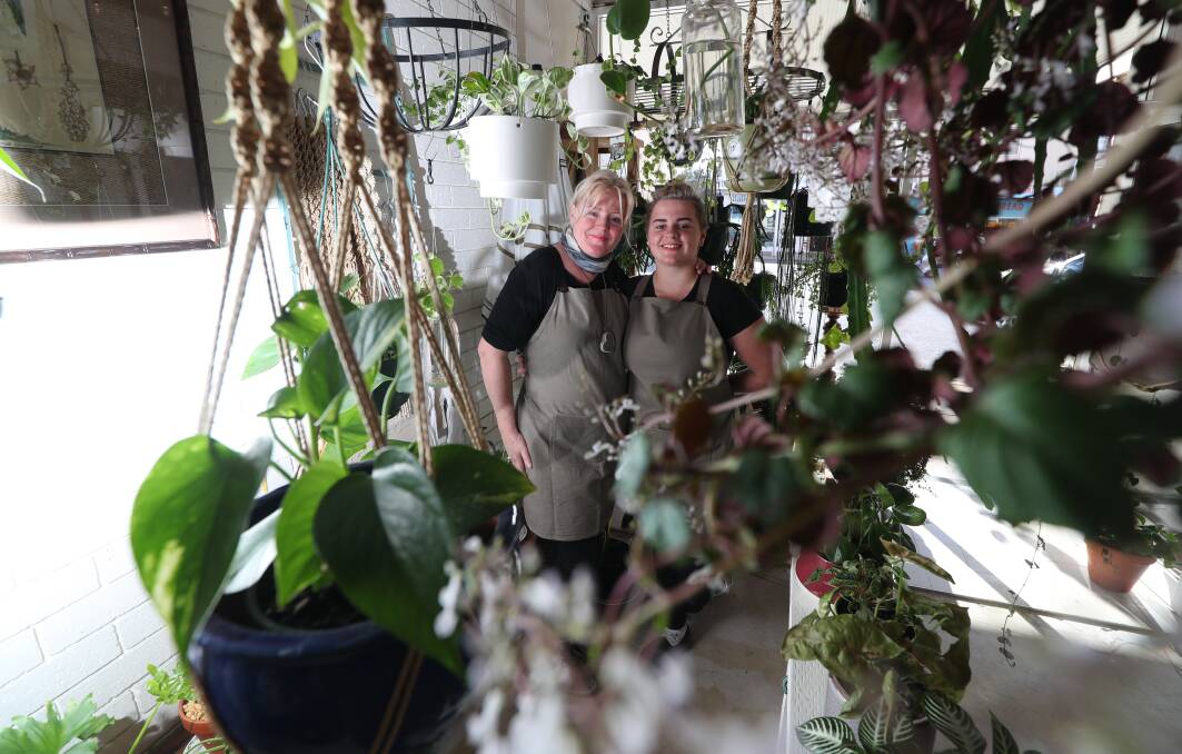 WELCOME TO THE JUNGLE: Sabrina and Suzie New amid the leafs at their new indoor plant shop in George Street.