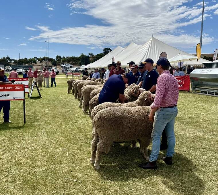 Ram judging is always a feature at stud events. This is at Burra, SA.