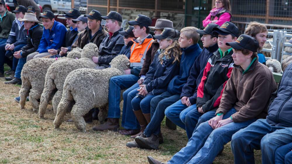 LISTENING: Young people were introduced to some of the subtleties of the wool industry at a recent event. Photo: KIRBY McPHEE