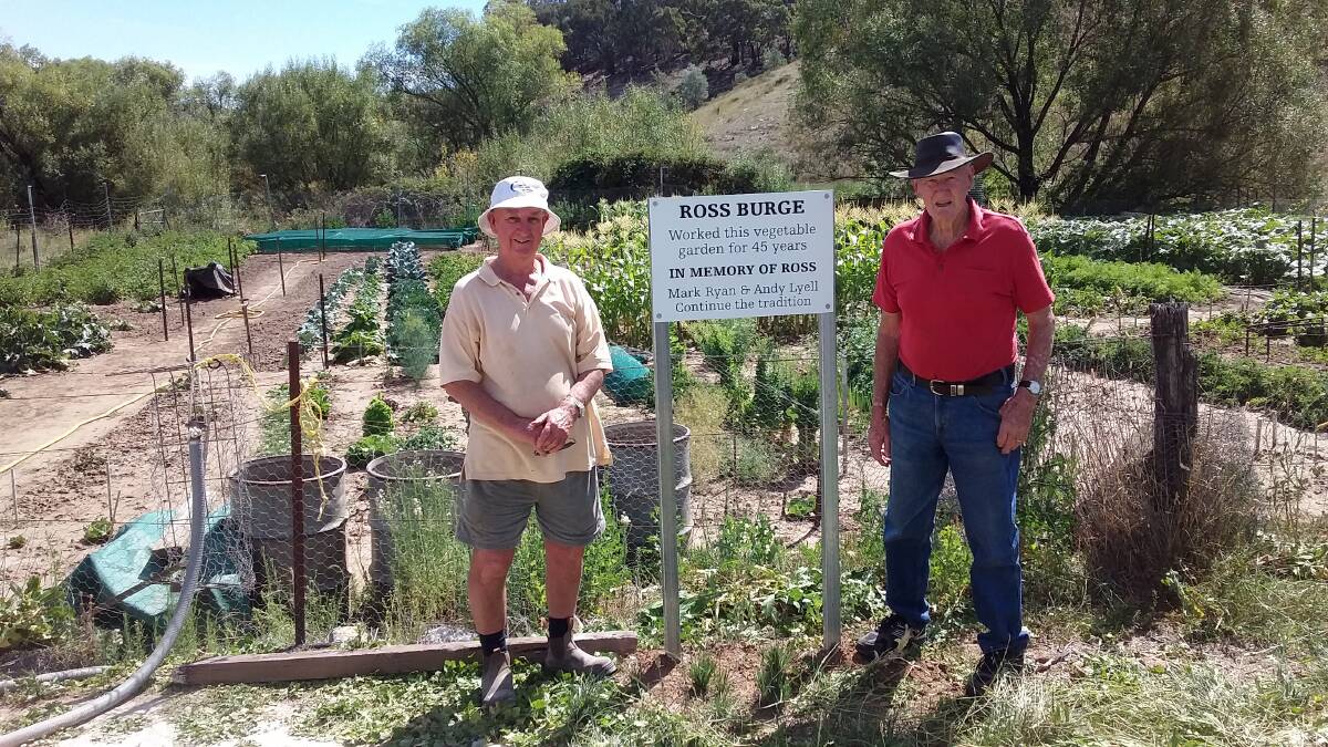 EAT FRESH: Neighbours Andy Lyell and Mark Ryan adorn the vegetable garden at Cow Flat that benefits many local families.