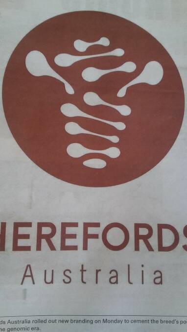 NEW LOOK: The brand new Herefords Australia logo.