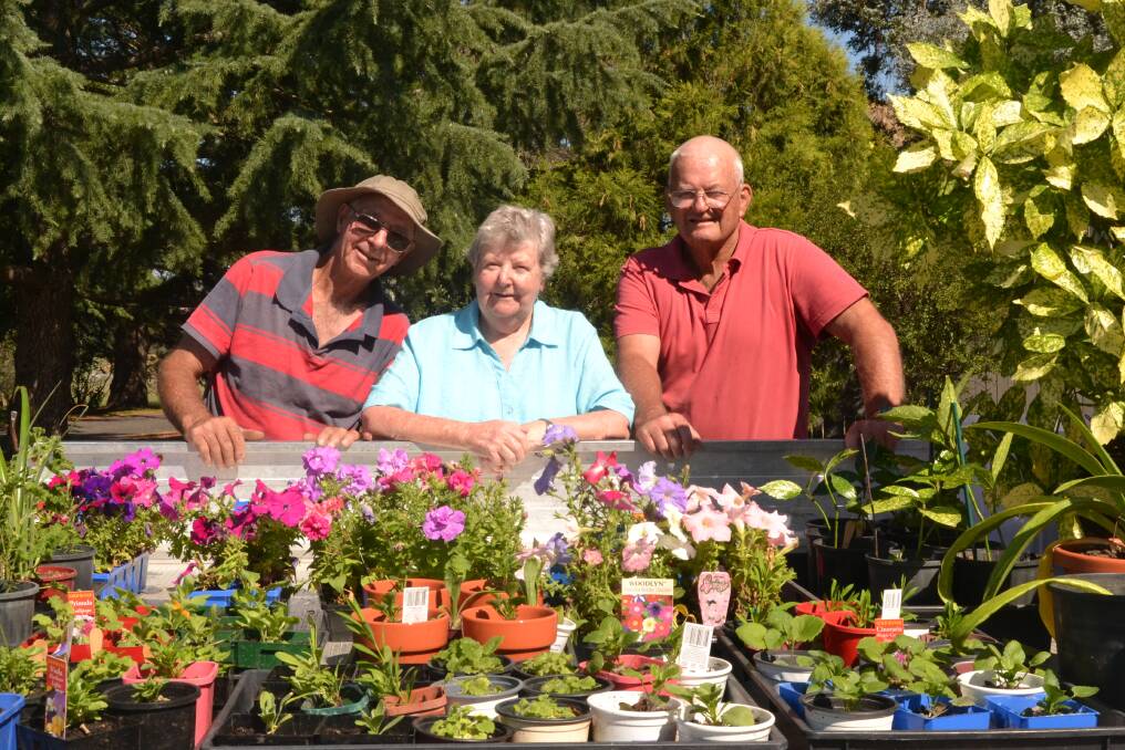 BLOOMING LOVELY: Doug Press, Carol Churches and John Banning are getting ready for the Holy Trinity Kelso Market Day this Saturday. 031518trinity