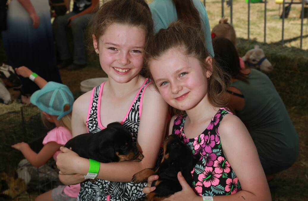 ANIMAL ATTRACTION: Iesia and Katie Storrier found some friends at the fete. 120316pbkelso7
