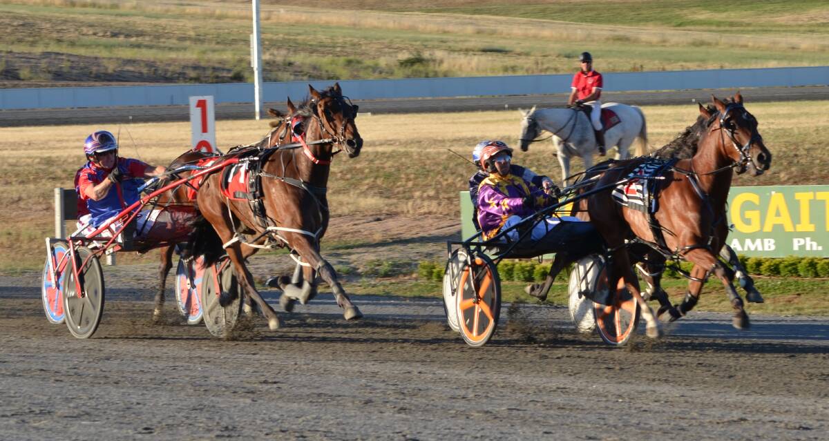 HOLDING ON: While favourite Gotta Bewitched came back to the pack down the straight, she held on to win her Soldiers Saddle heat. Photo: ANYA WHITELAW 120716ybewitched