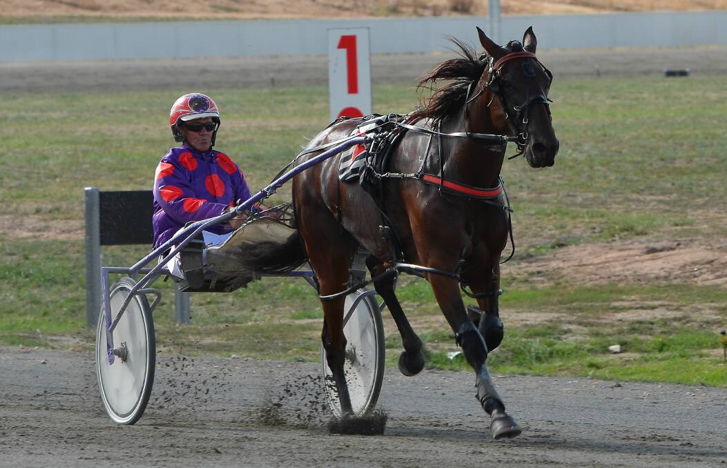 CONTENDER: Taylors Reason was impressive for Bernie Hewitt last season and is now chasing Soldiers Saddle success. Photo: ANYA WHITELAW