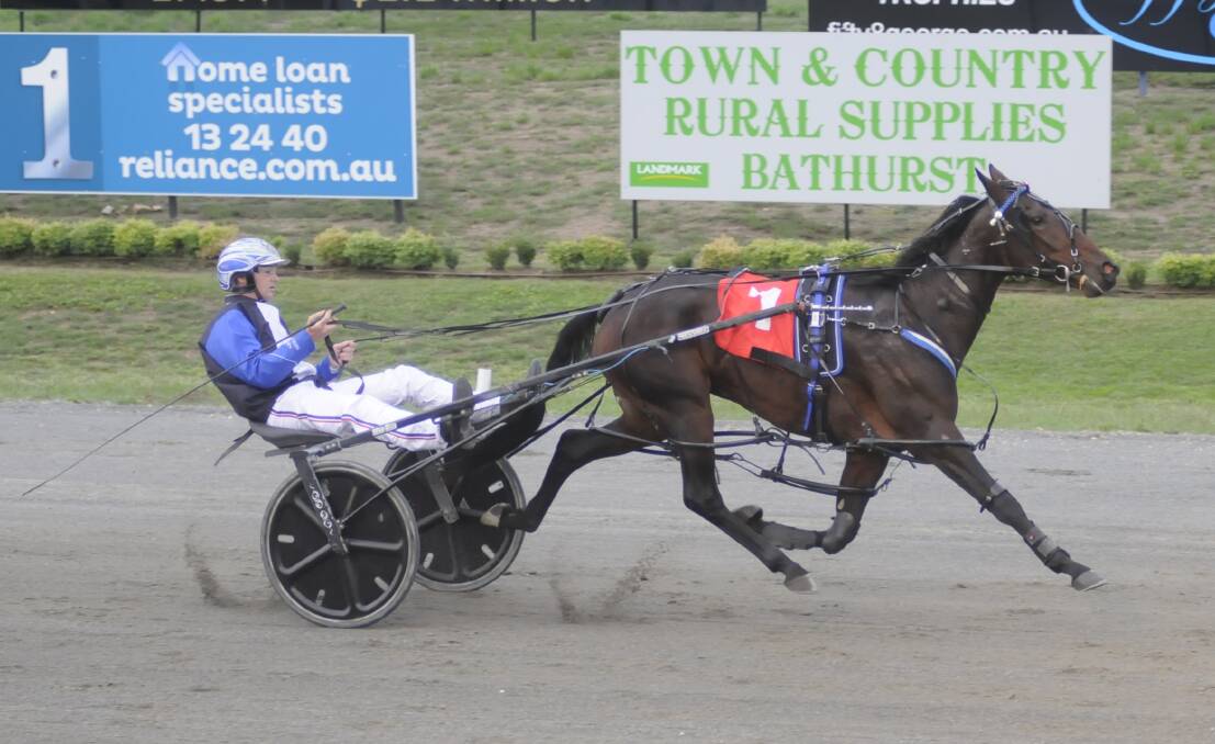 RUE BEAUTY: Mat Rue won the Gold Tiara Gold Consolation with Passions Delight. Photo: CHRIS SEABROOK 032517crown1b