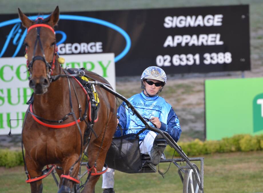 BACK IN THE GIG: Mat Rue will steer Karloo Damajor first up at Dubbo on Wednesday night. The talented Barry Lew trained gelding is expected to feature.