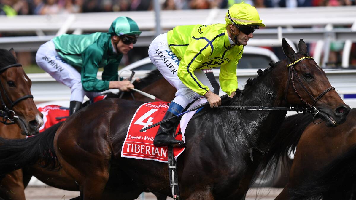 PROMISE: There was plenty for part owners Mick and Stacey Whittaker to like about Tiberian's seventh placing in Tuesday's Melbourne Cup. Photo: AAP