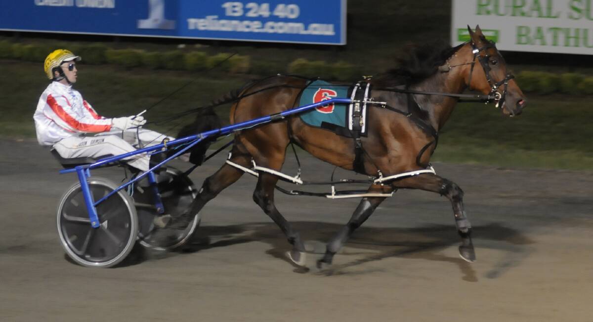 REPEAT DOSE: Jason Grimson's Dont Think Twice won another major Gold Crown Carnival trophy on Saturday. She won the Group 2 Gold Bracelet Final. Photo: CHRIS SEABROOK 032517crown4a