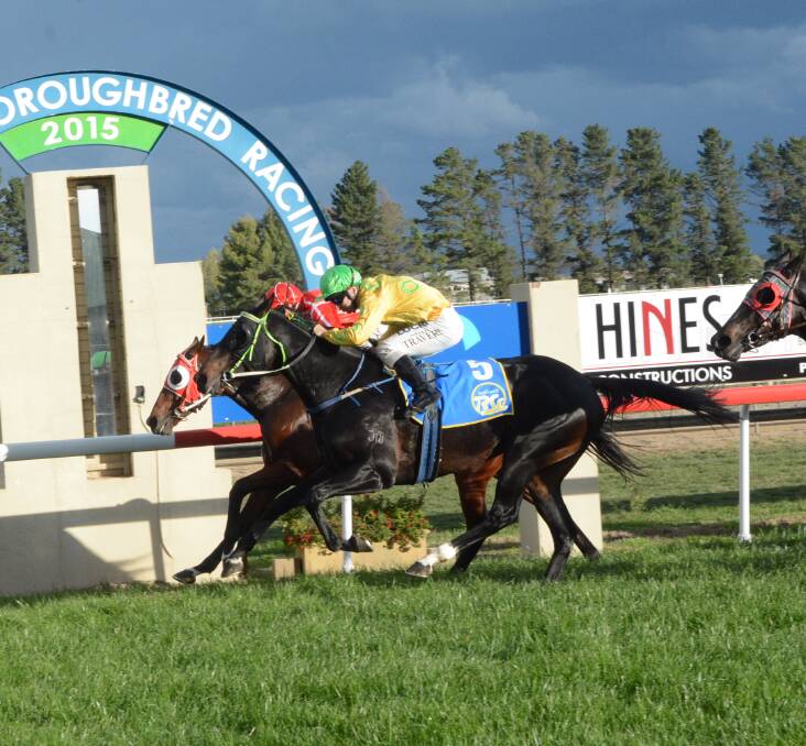 SO CLOSE: In 2015 Hollywood Nell came within a nose of winning the Soldier's Saddle for Bathurst trainer Peter Stanley. So far only one Bathurst trainer has won the annual feature.