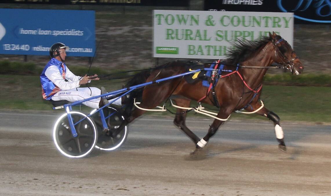 SUPER IMPRESSIVE: Major Kiss, with Cameron Maggs in the gig, took out the first of the Gold Tiara heats in convincing fashion on Friday night. Photo: COFFEE PHOTOGRAPHY AND FRAMING