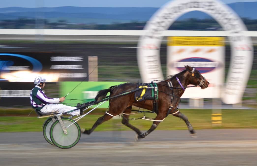 GOLDEN GIRL: John O'Shea drives Vergels Girl to a comfortable victory at the Bathurst Paceway on Wednesday. Photo: ANYA WHITELAW 072016ypace4