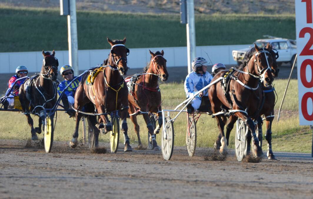Ashlee Grives drove impressive Kiwi Whittaker to his second win in as many weeks.