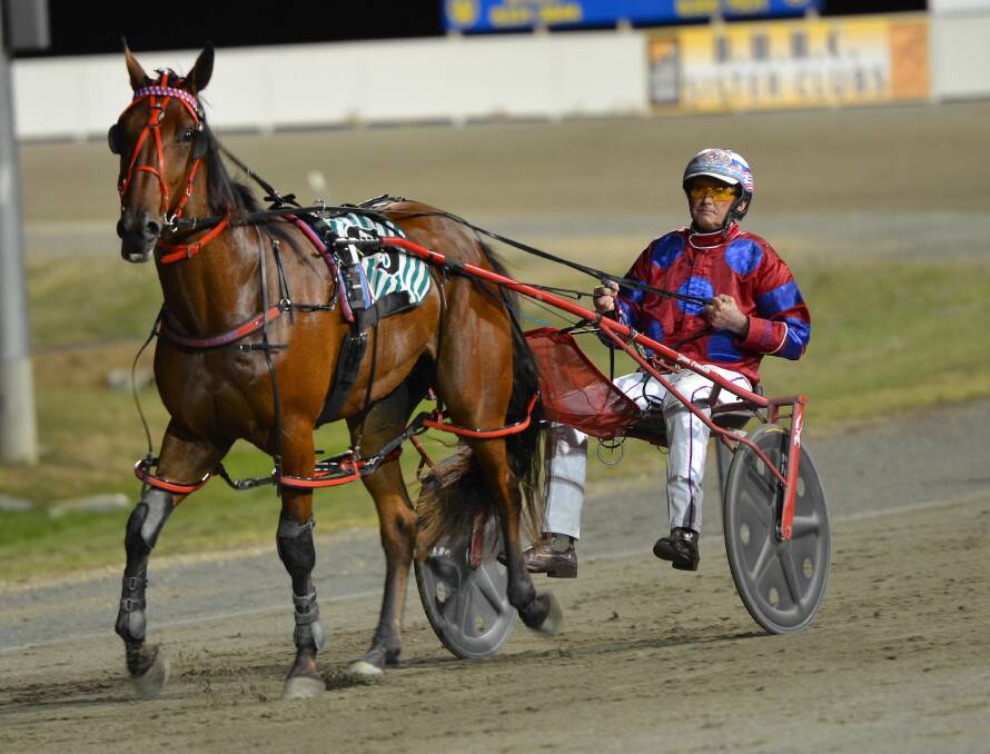 NICE EFFORT: The Steve Turnbull trained Maximus Red won the Group 2 Australian Pacing Gold Consolational Final at Menangle Park on Saturday. Photo: ANYA WHITELAW