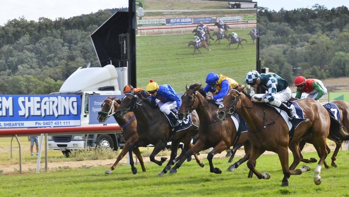 DISTINCTIVE VICTORY: The best of the action from Distinctive Look's win in Sunday's Country Championships Qualifier. Photo: BELINDA SOOLE 