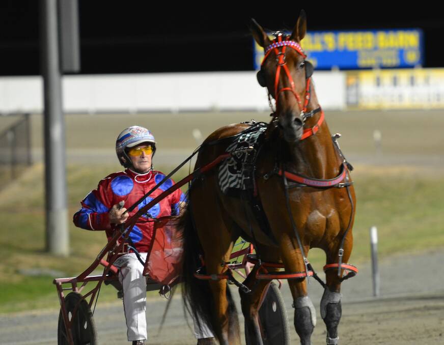 BIG NIGHT OUT: The Lagoon trainer-driver Steve Turnbull, who has already reached 100 winners for the season, has a number of chances on Gold Crown finals night. They include Maximus Red (pictured). Photo: ANYA WHITELAW